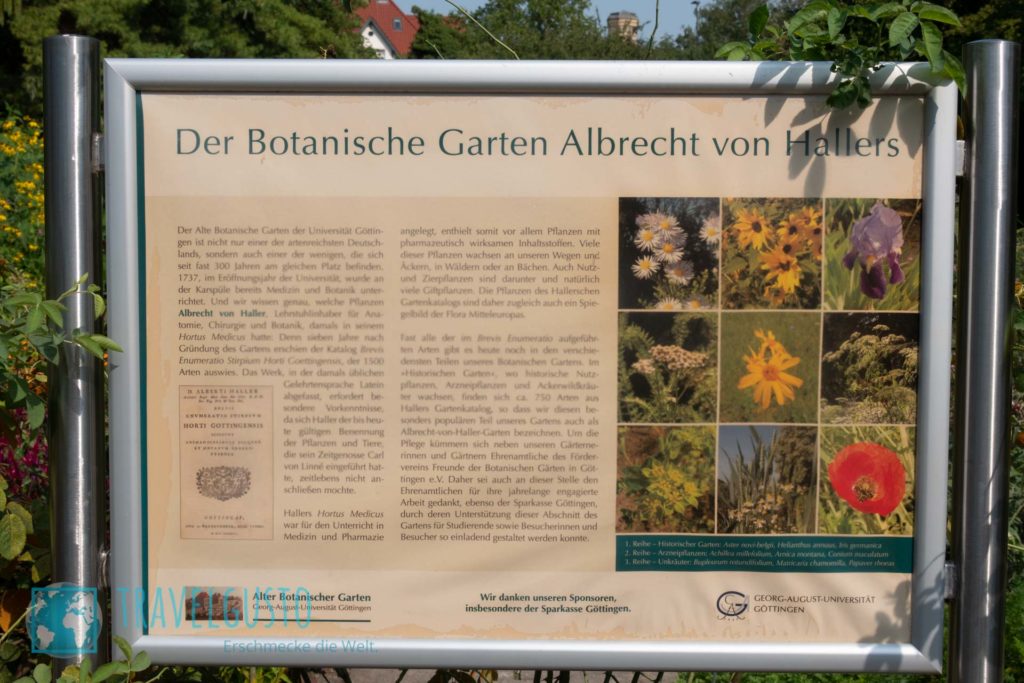 Der Botanische Garten Albrechts von Hallers